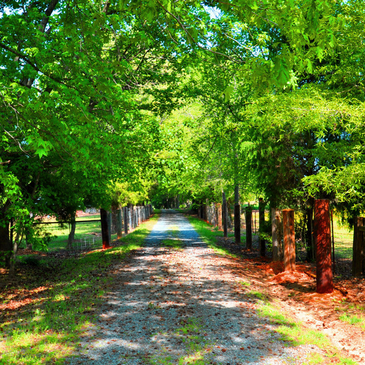 Amazing 6th Floor Condo