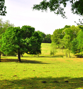 Amazing 6th Floor Condo