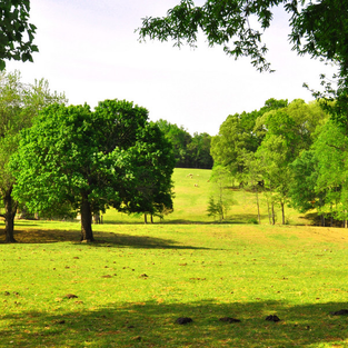 Amazing 6th Floor Condo